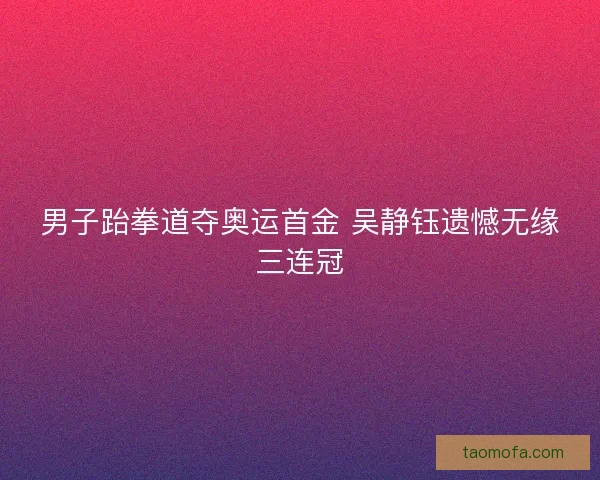 男子跆拳道夺奥运首金 吴静钰遗憾无缘三连冠